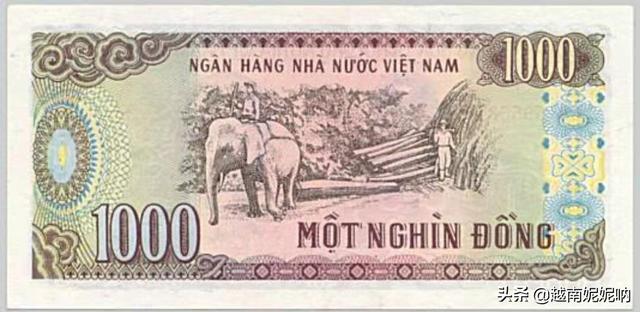 越南盾10000等于多少人民币,两万越南盾等于多少人民币（越南盾10000等于多少人民币芽庄）